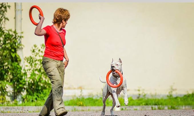 Dog Disc Toy Flying Ring Pets Flying Disc Dog Chew Toys Non-Toxic Fitness Ring Dogs DT103 Red 10.8 inch