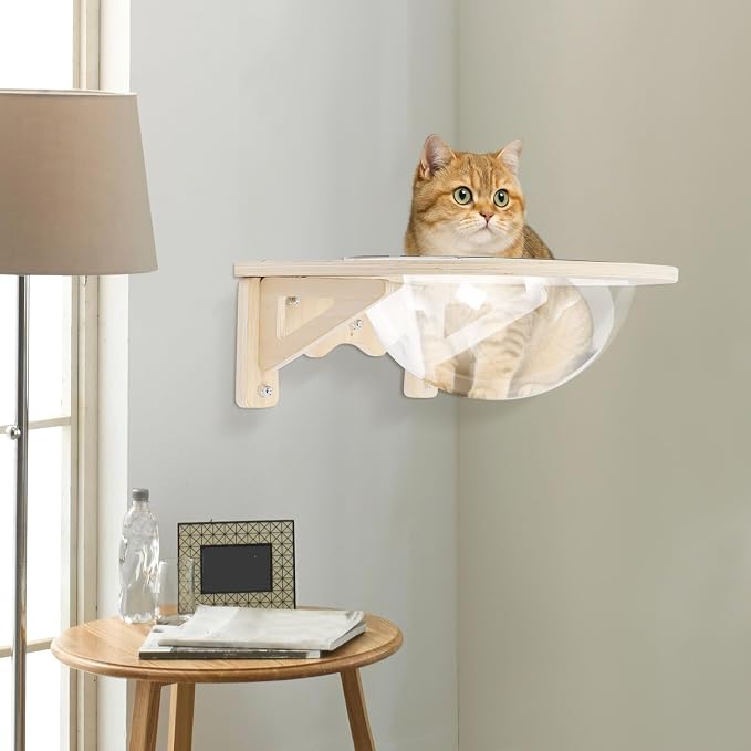 Transparent Cat Window Perch and Wall Shelves with 5 Strong Suction Cups, Cat Wall Capsule Bed Floating Pet Nest for Indoor Cats Climbing and Sleeping, Space-Saving Furniture