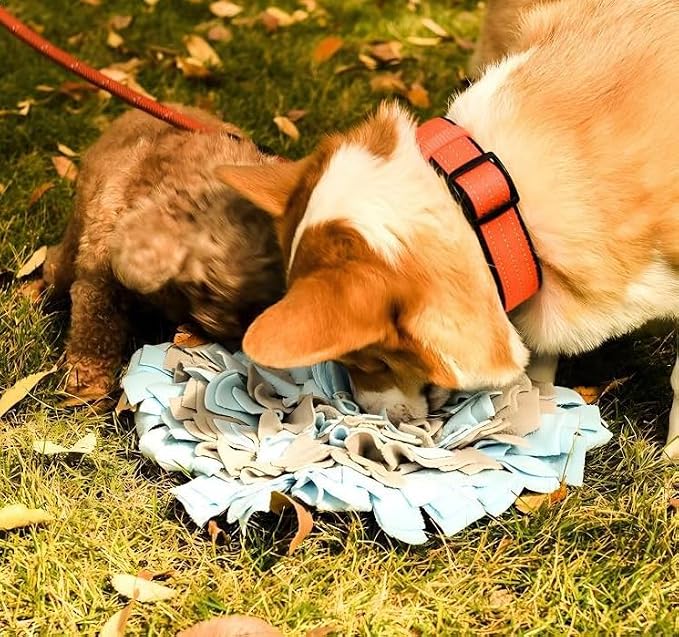 Pet Fleece Snuffle Mat Square Shape Foraging Mats Interactive Feeding Toy Anti Slip Slow Feeder Treat Dispenser for Dog Rabbit Guinea Pig (Blue/Grey)