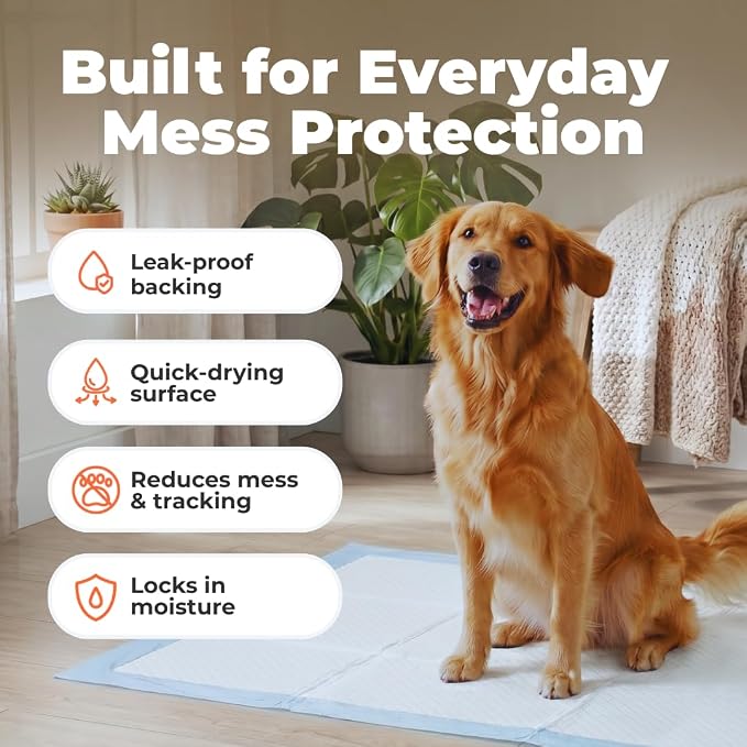 Best Pet Supplies XL (36 x 28 Inches) Puppy Pads 40 Count - Super Absorbent Dog Training Pads, Quick-Dry, Odor Control, Disposable Pee Pads, Leak-Proof Wee Wee Pads for Indoor Dogs – Baby Blue
