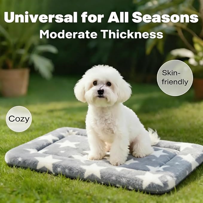 Dog Bed Mat, Reversible Crate Pad & Cute Dog Bed - Machine Washable Kennel Mat with Ultra Soft (Big&Small Stars Gray, 24" L*18" W*1.5" Th)