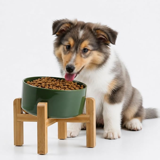Petygooing Elevated/Raised 15°Slanted Ceramic Dog Bowl for Small and Medium Breeds, Tilted Anti Slip Pet Feeding Bowl,Food Water Dish with Stand for Cats and Dogs (28 OZ/3.6 Cups) Rust Green