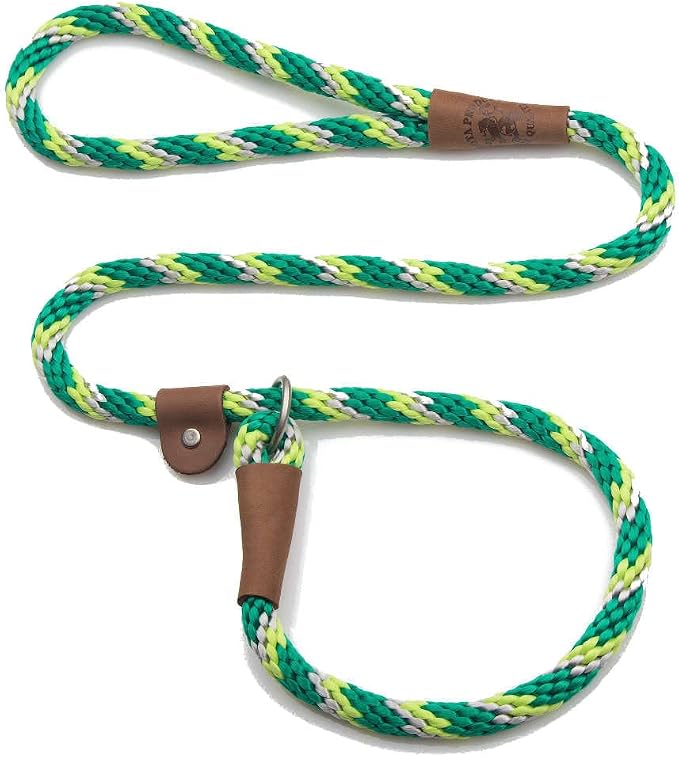 Mendota Pet Slip Leash - Dog Lead and Collar Combo - Made in The USA - Ivy, 1/2 in x 6 ft - for Large Breeds