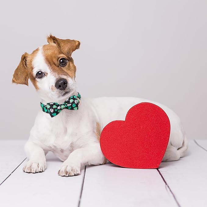 ·MR. CHUBBYFACE· St.Patrick's Clover Dog Collar with Bowtie, White Green Clovers Shamrock Pet Collar with Metal Buckle, Soft Adjustable Puppy Collar for Small Medium Large Dogs