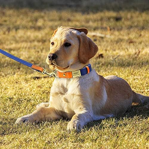 Personalized Dog Collar with Engraved Buckle for Small Medium Large Dogs, Custom Nylon & Genuine Leather Sewing Dog Collar with Name (M(3/4''*12''-19''),Navy)