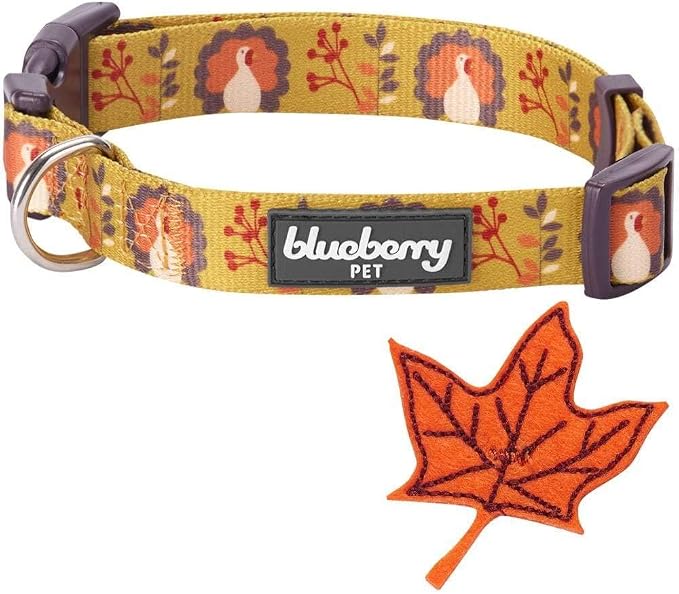 Blueberry Pet Thanksgiving Fall Festival Moonlit Turkey Designer Adjustable Dog Collar with Maple, Small, Neck 12"-16"