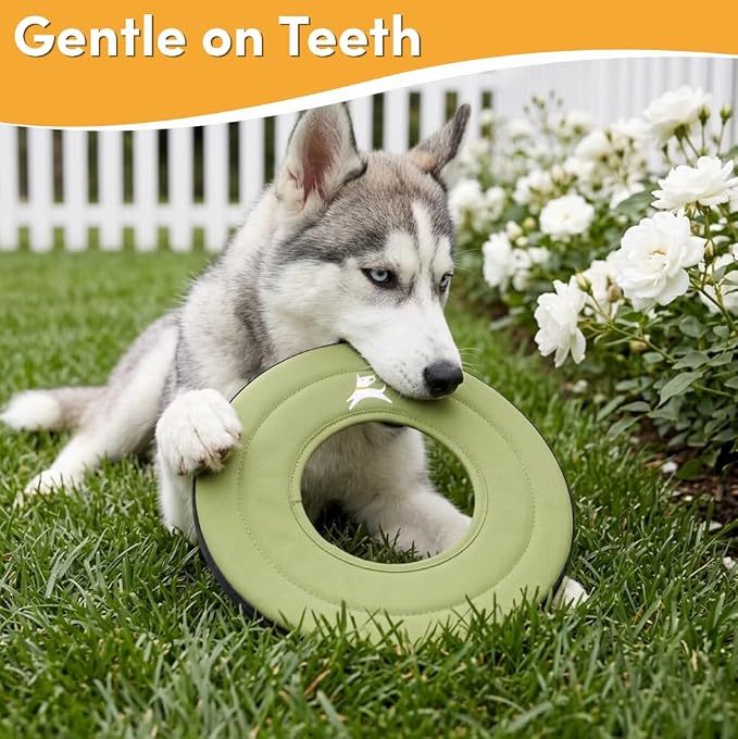 OllyDog Super Flyer Dog Flying Disc – Floating Fetch Toy for Water Play, Soft Eco-Friendly Recycled Fabric, Gentle on Teeth, 11" for Medium & Large Dogs (Palm, 11")
