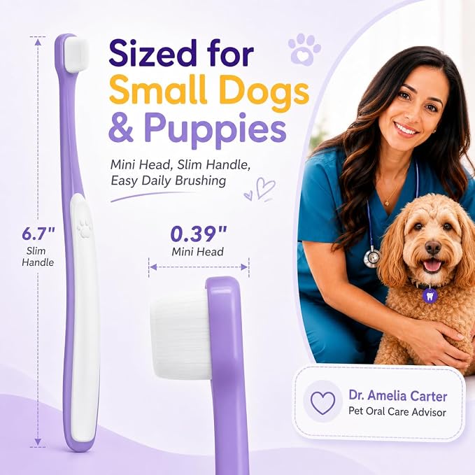 Small Dog Toothbrush, Mini Head, Soft Bristles, Under 30 lbs | Gentle Tiny Teeth Care. Curved Handle Reach. Soft Gum Comfort. Rubber Grip Control. Easy Daily Brushing.