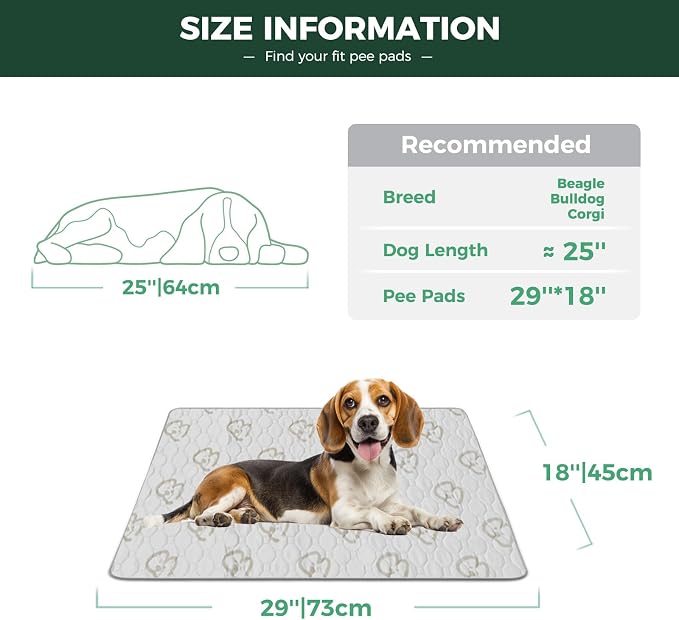 FXW Washable Pee Pads for Dogs, Super Absorbent, 18" x 29", 2 Packs | Machine washable, Non-slip backing