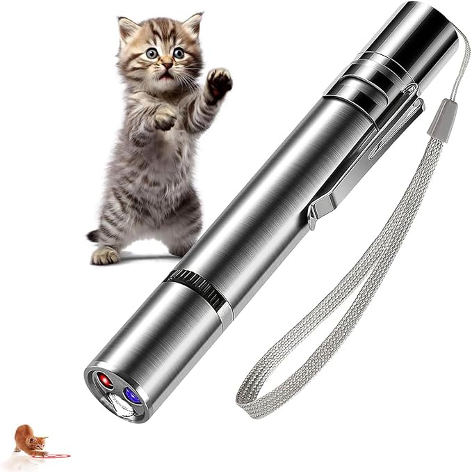 Cat Interactive Light Toy, 3 Light Modes & 5 Fun Patterns, USB Rechargeable Pointer for Cats/Dogs/Birds, 20-Min Fast Charge, Stainless Steel Portable Cat Chaser Toy with RingwormDetector & Flashlight