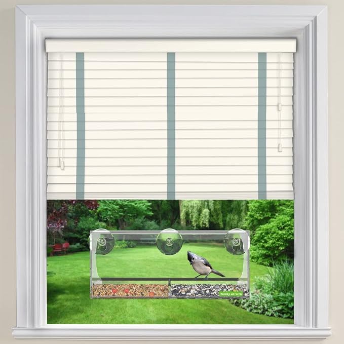 Window Bird Feeder with Strong Suction Cups – Clear Acrylic See Through Design, Removable Tray with Drain Holes, Extra Wide Perch for Viewing, Window Mounted for Cats, Balcony Apartment Bird Watching