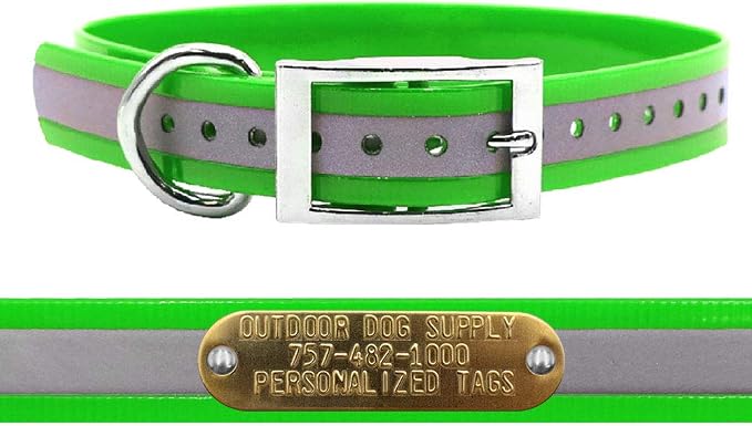 Outdoor Dog Supply 1" Heavy Duty Reflective Waterproof D-Ring Dog Collar for Medium & Large Dogs with 3/4" Custom Brass Nameplate (Reflective Lime Green, 21")