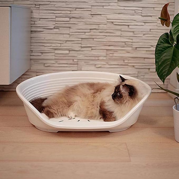Ferplast Cat Bed, Plastic Dog Bed Small, Ventilation Holes and Non-Slip Rubber Feet for Added Stability 61,5 x 45 x h. 21.5 cm. White