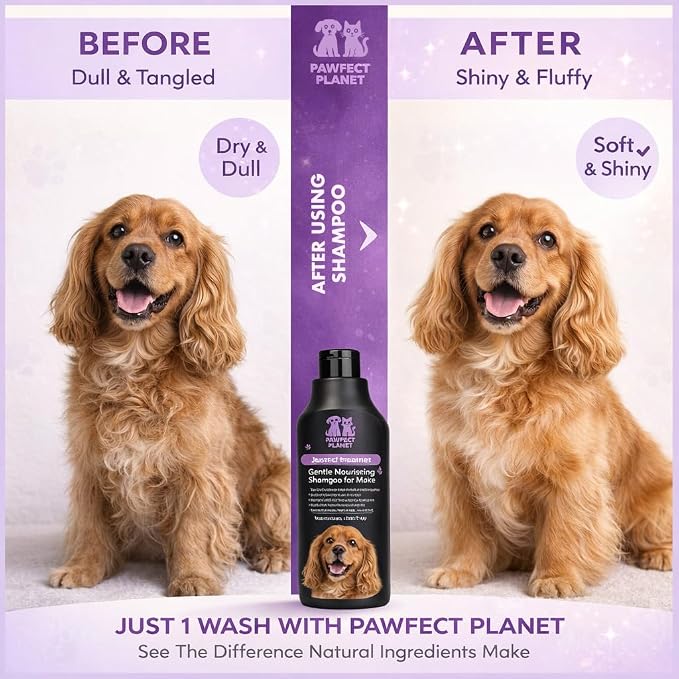 Dog Shampoo Oatmeal Aloe Vera - Gentle Nourishing Formula for Itchy Skin Relief - Natural Puppy Shampoo for Sensitive Skin Allergies - pH Balanced Pet Wash All Breeds 750ml