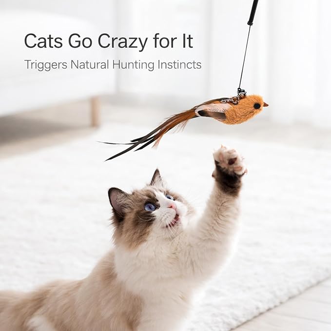 11PCS Realistic Bird Cat Toy Refills – Handmade Feather Cat Toys with Bell, Clip-on Cat Wand Attachments – Interactive Cat Toys for Indoor Cats, Refill Set for Wand Toy or Cute Home Décor