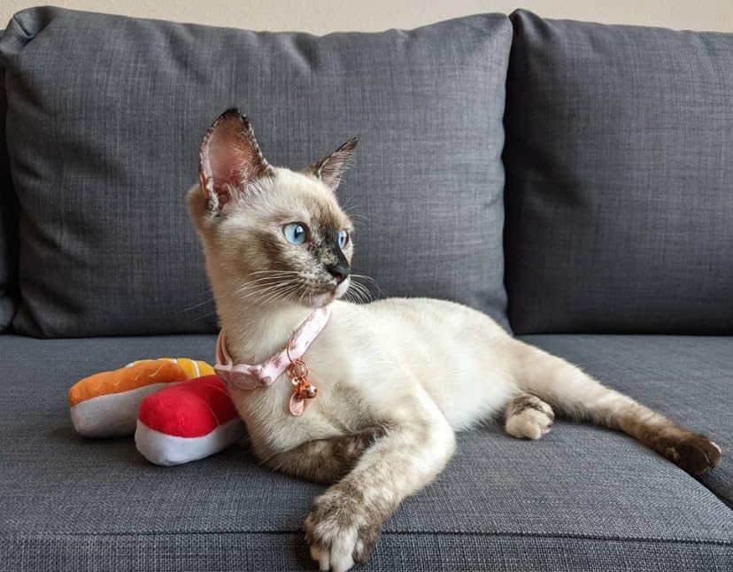 munchiecat Premium Organic Catnip Sushi Toy (1-pc) for Cats, Kittens - USA Made Durable Design for Pouncing, Batting and Play