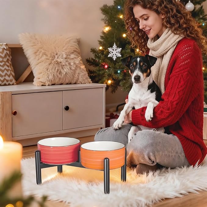 Ceramic Elevated Dog Bowl Set, 6.1''Raised Dog Food and Water Bowl Set with Non-Slip Stainless Steel Stand, Double Raised Dish for Small and Medium Breed, 3.5 Cups / 22 Fl Oz,- Christmas Set