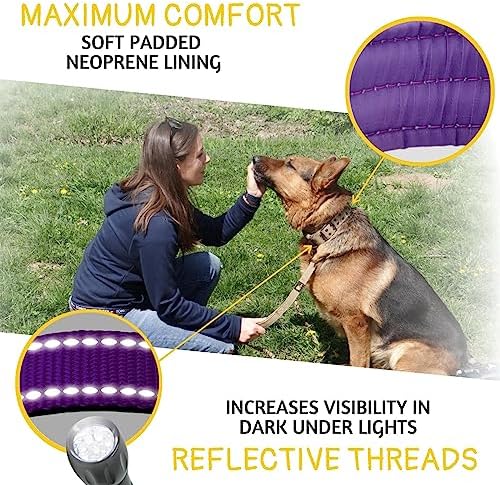 ADITYNA Heavy Duty Purple Dog Collar for Medium Dogs with Traffic Handle