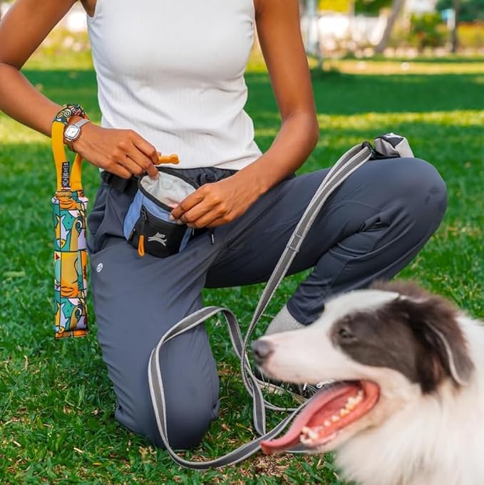 Goodie Treat Bag, Dog Treat Training Pouch | Magnetic Closure | 3 Ways to Wear | Hands-Free Waist Belt | Water-Resistant Recycled Vegan Fabric (Blue Heron)
