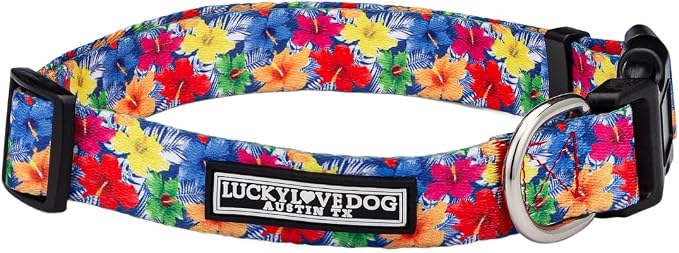 Lucky Love Dog - Adjustable Dog Collar with Easy Click Buckle for Medium, Durable, & Comfortable for Male & Female Dogs, Pet Collar for Puppies & Adult Dogs - Hana, Medium