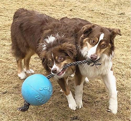 Jolly Pets Romp-N-Roll Rope & Ball Dog Toy, 8 in Large, Blueberry