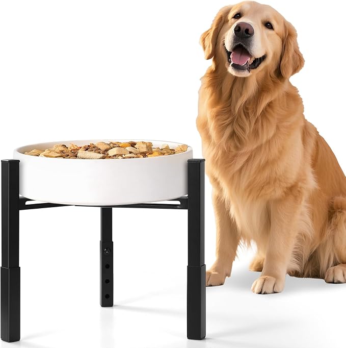Adjustable Raised Dog Bowl Stand, Metal Elevated Feeding Station for Dogs, Without Bowls