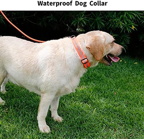 Nimble Reflective Waterproof Dog Collar Adjustable Odor Resistant Easy Clean Pet Collar for Small Medium Large Dogs Night Walking Outdoor Rainy Use (Large (15.35”-24.8”inches), Orange)
