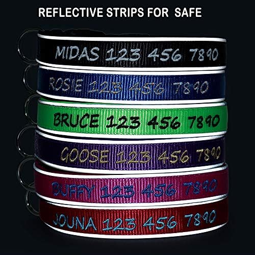 Personalized Dog Collar, Custom Embroidered with Pet Name and Phone Number