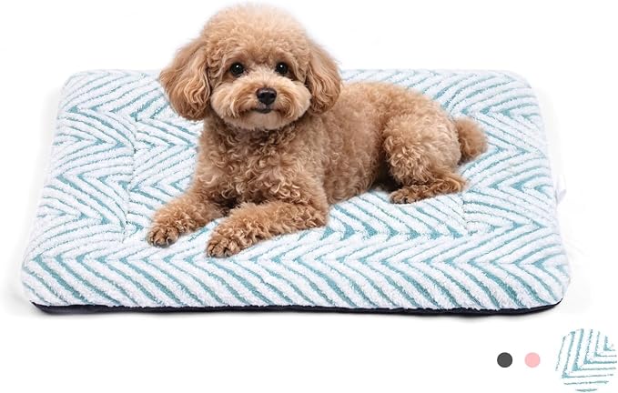 Mora Pets Dog Crate Pad Washable Cat Dog Bed for Crate Flat Pet Kennel Mat | Soft Dog Cat Bed Mat, Puppy Crate Pad for Dog Cages Cozy Sleeping Liner, Cute Pet Pillow Cushion Anti Slip Small Blue 24 x 18