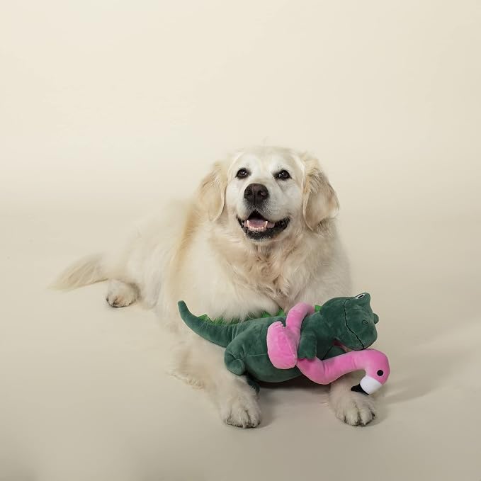 Fringe Studio Squeaker Large Pet Toy, Flamingo Fun T-Rex, 14.5" Tall x 11.5" Wide, PetShop Collection (728003)