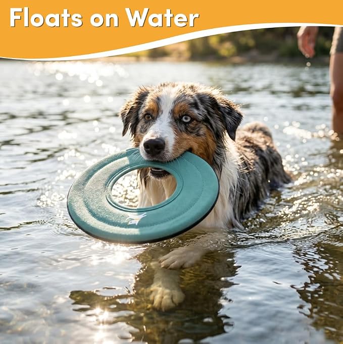 OllyDog Super Flyer Dog Flying Disc – Floating Fetch Toy for Water Play, Soft Eco-Friendly Recycled Fabric, Gentle on Teeth, 11" for Medium & Large Dogs (Surf, 11")