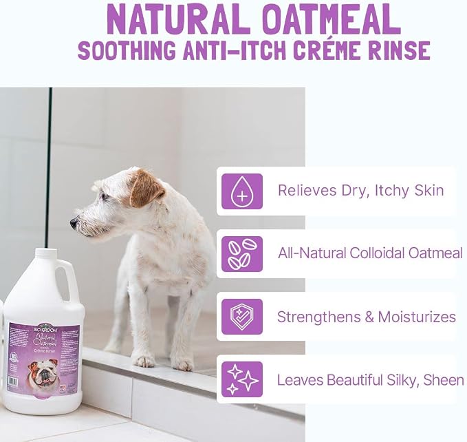 Bio-Groom Oatmeal Dog Conditioner, for Allergies and Itching, 1 Gallon | Cruelty-Free, Dog Bathing Supplies, Puppy Conditioner for Sensitive Skin, Made in USA, Anti-Itch Products