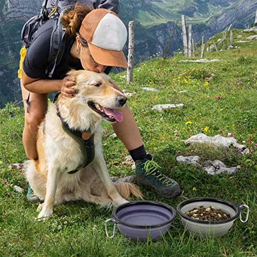 Dog Bowl Large Pet Collapsible Bowls, 2 Pack Collapsible Dog Water Bowls for Cats Dogs Portable Pet Feeding Water Dish for Walking Parking Traveling with 2 Carabiners (Large, Purple & Concrete Gray)