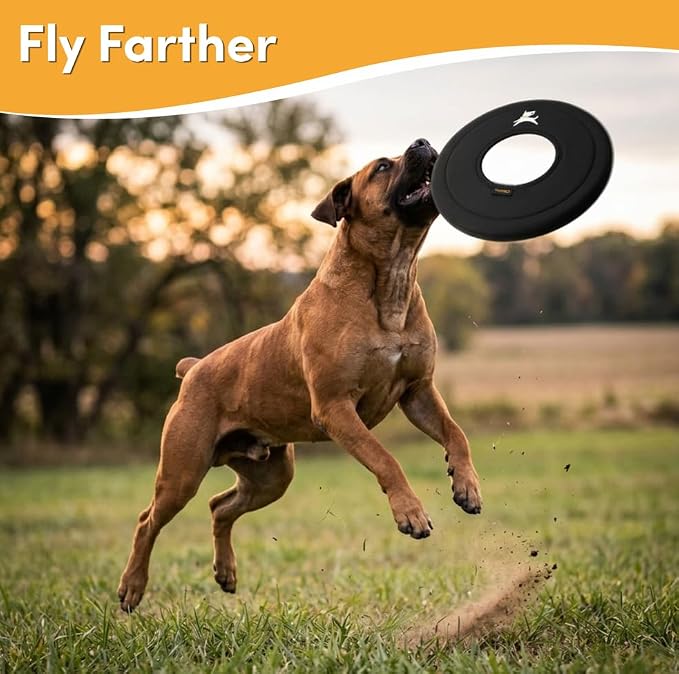 OllyDog Super Flyer Dog Flying Disc – Floating Fetch Toy for Water Play, Soft Eco-Friendly Recycled Fabric, Gentle on Teeth, 11" for Medium & Large Dogs (Raven, 11")