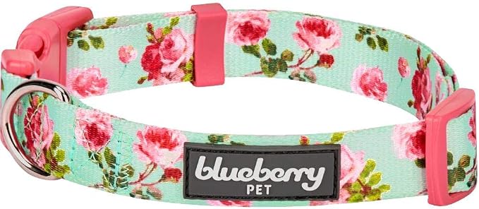Blueberry Pet Floral Rose Dog Collar, Adjustable Small Dog Collar, Puppy Collar, Flower Dog Collar for Small Dogs, Turquoise, X-Small, Neck 8"-11", Eco-Friendly, Fashion Pet Accessory
