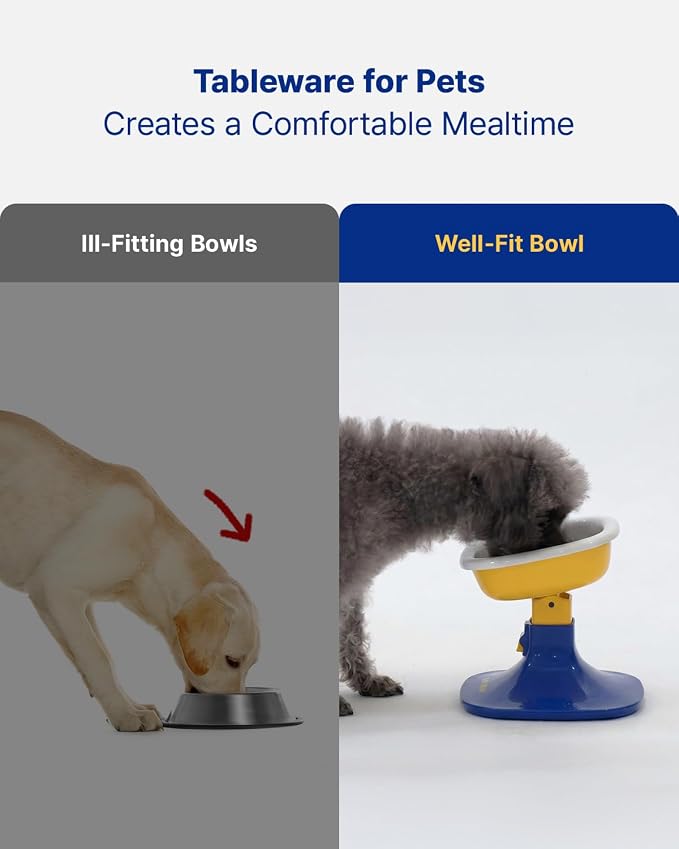 Well Fit Dog Bowl, Durable Ceramic Cat & Dog Food and Water Bowl | Non-Slip Silicone Base, Easy to Clean, 6.2 × 6.2 × 2.0 in, Lavender