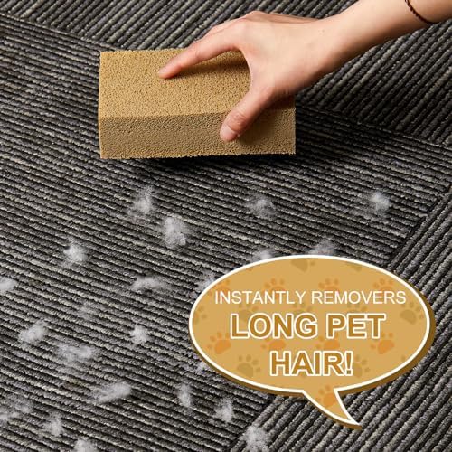 2 Pack Pet Hair Remover Sponge Cat and Dog Hair Sponge, Khaki