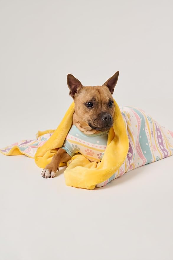 Darren & Phillip Feelin' Eggstra Blanket - Ultra-Soft Blankets Made with Plush Fleece - Perfect as a Dog Bed Blanket or for Cuddling with Your Pup - Ultra-Snuggly Blankets for Dogs & Humans