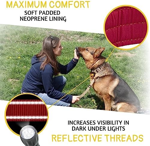 ADITYNA Heavy Duty Dog Collar for Medium Dogs with Traffic Handle