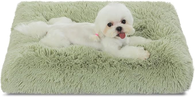 Bedfolks Waterproof Dog Crate Bed, Plush Small Dog Pad, 23"x18", Sage Green | Faux Fur Plush Cover, Removable Washable Outer, Waterproof Inner Lining, Non-Slip Base, Crate Pad and Dog Pillow