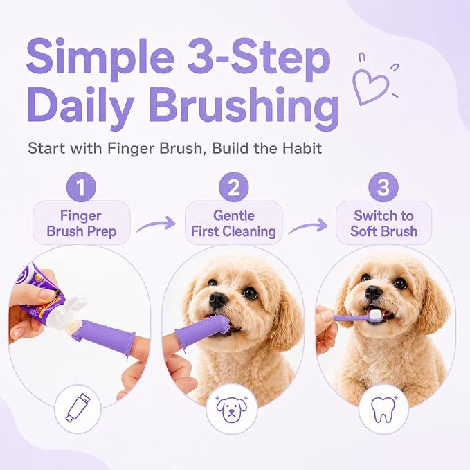 Small Dog Toothbrush Kit, 2.5oz Toothpaste & Finger Brush | Gentle Small Dog Care. Soft Brush Comfort. Finger-Fit Control. Coconut Chicken Flavor. Daily Routine.