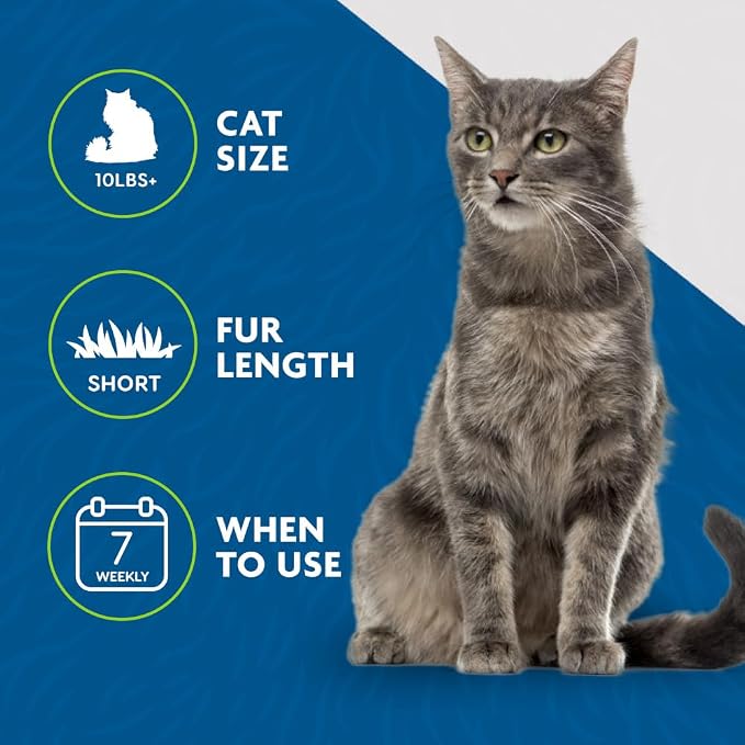 FURminator Medium to Large Cat deShedding Tool for Short Hair | Reduces Loose Hair From Shedding, Easy Clean-Up, For Cats Over 10 lbs, Use Weekly, Ergonomic Handle For Comfort