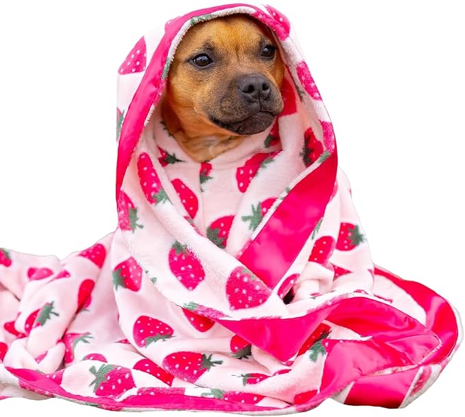 Darren & Phillip Cutie Frutti Strawberry Blanket - Ultra-Soft Blankets Made with Plush Fleece - Perfect as a Dog Bed Blanket or for Cuddling with Your Pup - Ultra-Snuggly Blankets for Dogs & Humans