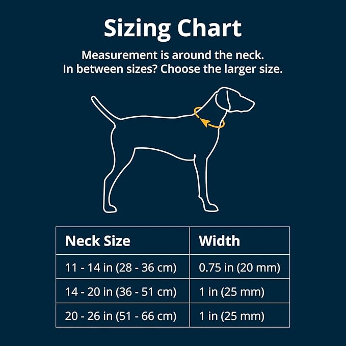 Ruffwear, Crag Dog Collar, Stylish Adventure Collar with Premium Reflective Design, Quick Release Buckle, Lightweight All-Day Comfort, Rising Wave, 11"-14"