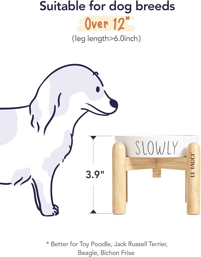 LE TAUCI PET Ceramic Elevated Slow Feeder Dog Bowl - 0.6 Cup Puzzle Feeder with Wooden Stand for Small Breeds, White Pet Dish