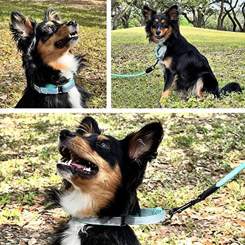 Pawtitas Customized Martingale Dog Collar Reflective Reflective Dog Collar Embroidered Personalized Name Phone Number Adjustable for Puppies Small Medium Large Size Dogs Large Orchid