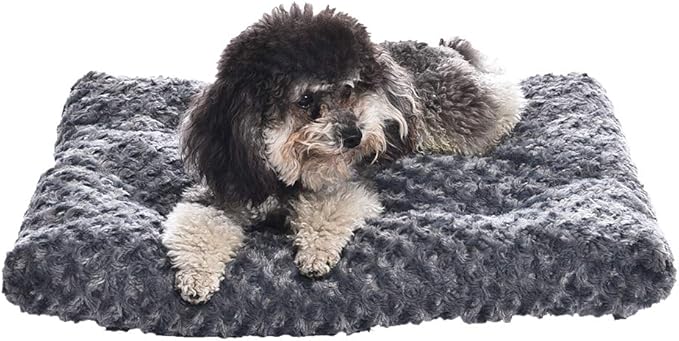 Amazon Basics Washable Cat and Dog Bed and Crate Pad, Indoor, Easy to Clean, 23" x 18" x 2.5", Gray