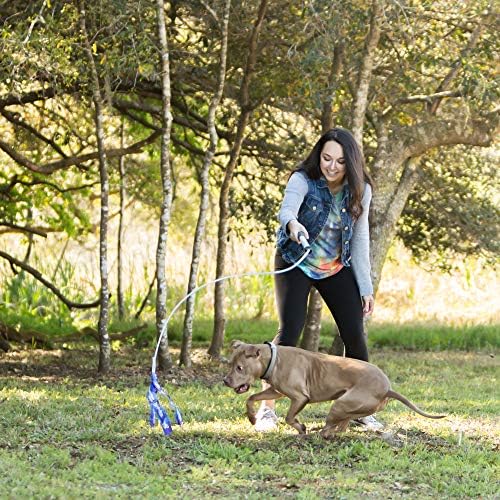 Squishy Face Studio Flirt Pole V2 with Lure - Durable Dog Toy for Fun Obedience Training & Exercise, Purple/Blue Tie Dye, Jr. - 24 inch