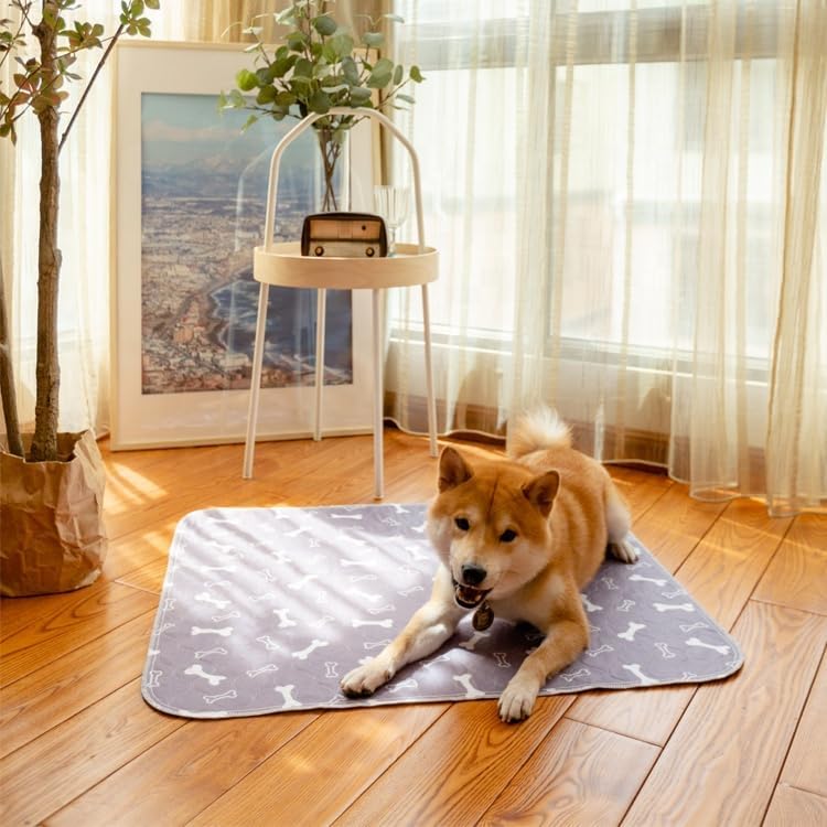 2 Pack 34"x36" Washable Pee Pads for Dogs, Super Absorbent Reusable Training Dog Pads with Bone Print, Non-Slip Potty Pads for Whelping, Playpen, Crate, Bed