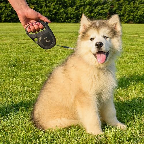 Ferplast Retractable Dog Lead Extendable Dog Leash Dogs Flippy ONE Tape S, Extendable Tape, 4 m, max 15 kg, Black